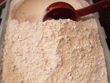 Premium Quality  Wheat  Flour