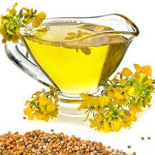 100% Refined  canola  Oil for  sale 