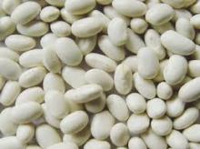 Pure White  kidney   Bean   Powder , White  kidney   Bean  Extract  Powder 