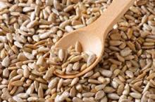 Copy of 2015 China Fresh Sunflower Seeds Kernel