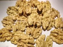 wholesale offer of best quality walnuts