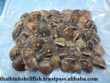 FROZEN COOKED BULK BROWN CLAM SHELL ON