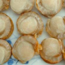 Fresh frozen scallop/patinopecten yessoensis