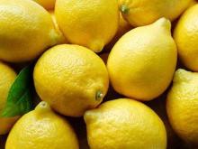 Fresh Green and Yellow Lemon