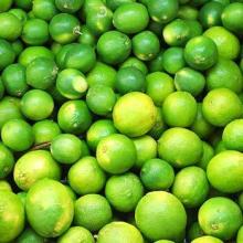  Fresh   Green   Lemon 
