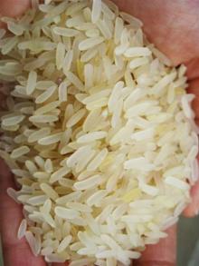 IR- 64 Non Basmati Rice (Parboiled)