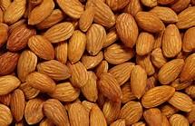 Raw Natural Almond Nuts for Sale