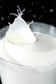 Sheep Liquid Milk