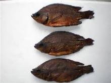 smoked tilapia fish available for sale