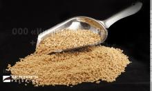 Textured Soy Protein OPTTEMA S-300 concentrate