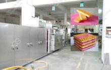 Wafer Biscuit Machine Production Line