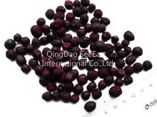  freeze   dried  blueberry