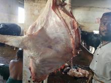 Halal Buffalo Carcasses 140 kg sizes 3 pieces cut Front & Hind Quarters Pakistan