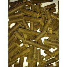 moringa animal feed