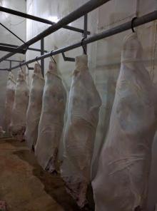 Fresh Buffalo Carcasses 140~160 kg sizes 3 pieces cut Front & Hind Quarters