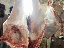 Indian Buffalo Carcasses 140 kg + sizes 3 pieces cut Front & Hind Quarters