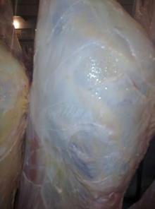Halal Beef Carcasses 160 kg + sizes 3 pieces cut Front & Hind Quarters