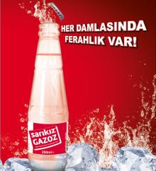  Fruit  Flavored Mineral  Carbonated   Soft  Drink