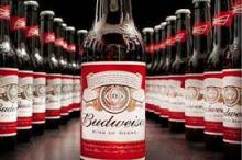 100% refined budweise beer supplier from  united   state s