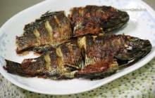 nicely dried smoked tilapia fish available in market