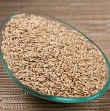 CANARY SEED AND BIRD MIX SEED