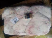  stingray  fish with good price