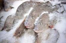 Buy and receive Whole frozen Mackerel Online