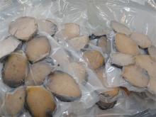 Frozen abalone from australia