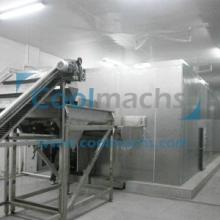 iqf tunnel freezer/tunnel  freezing   machine 