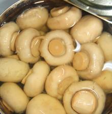 Factory Supply  Canned  Champignon Mushroom