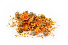 marigold