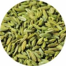 fennel