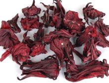 hibiscus