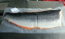 FROZEN SALMON, ATLANTIC (Salmo salar)  SEA   FOOD   FISH 