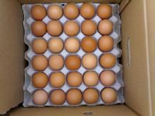 Farm Fresh Chicken Brown & White Table Eggs for Sale.