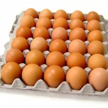 Fresh Poultry Farm Table Eggs Available