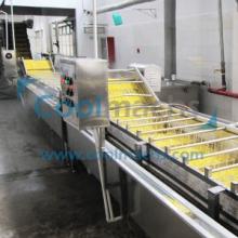 Sweet Corn IQF Frozen Line Equipment