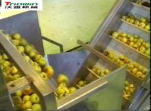 Turnkey Industrial Solution for Apple processing line