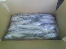 FROZEN HORSE MACKERE FISH PACKAGED FOR DELIVERY