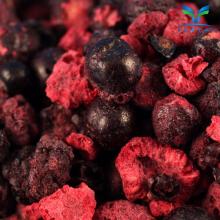FD  Blackcurrant s / Freeze Dried  Blackcurrant s