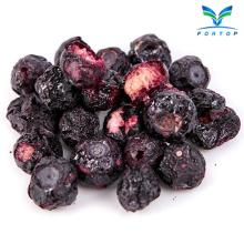 FD Blueberry /  Freeze   Dried  Blueberry