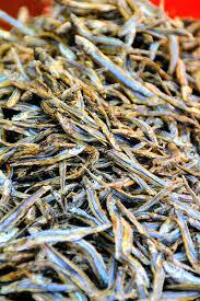 .............DRIED STOCK FISH......