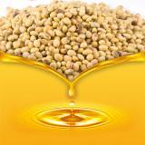 Refined SOYBEANS Oil