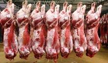 Frozen cattle carcass/ lamb carcass