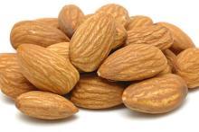 sweet apricot kernel