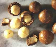 mecadamia nuts