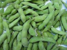 IQF frozen soybeans / soya beans edamame wholesale with kosher certificate $800 per mt cif