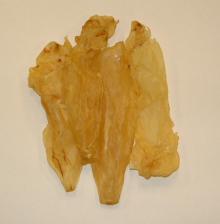 Grade AA Croaker Fish Maw