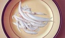 Fresh Frozen Fish maw/ Fish Bladders (20 species)