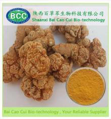  Rehmannia   extract 